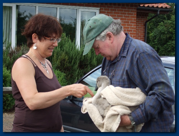 600x449 pixels (132K)