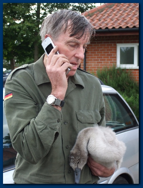 450x599 pixels (130K)