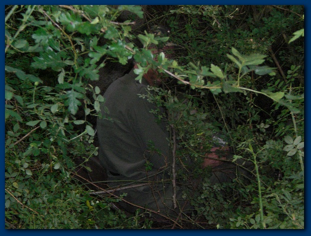 600x449 pixels (162K)