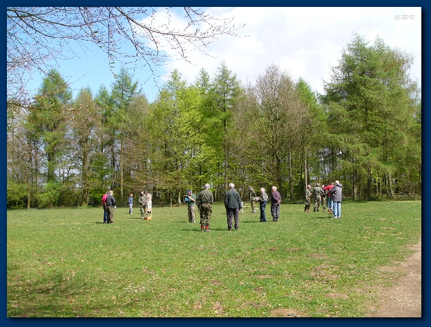 600x449 pixels (195K)