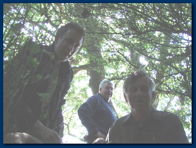 600x449 pixels (148K)