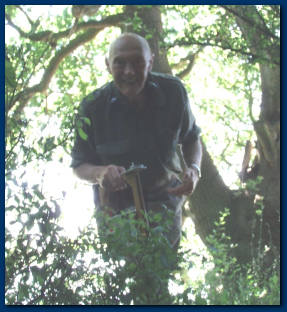 550x599 pixels (148K)