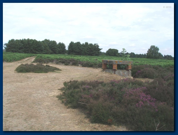 600x449 pixels (106K)