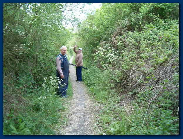 600x449 pixels (216K)