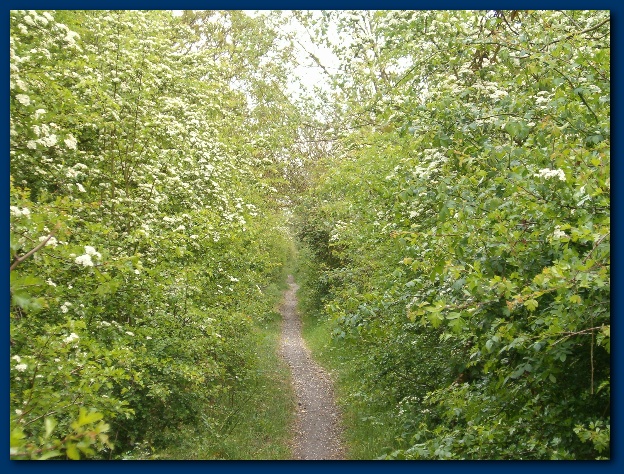 600x449 pixels (225K)