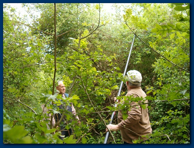 600x449 pixels (226K)