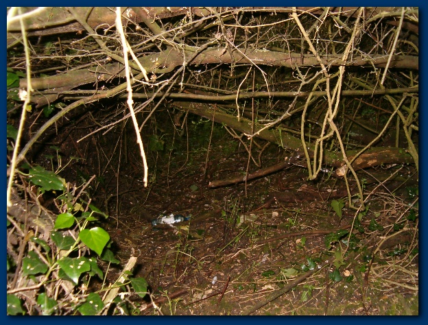 600x449 pixels (205K)