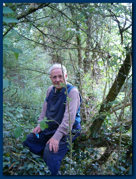 450x599 pixels (204K)