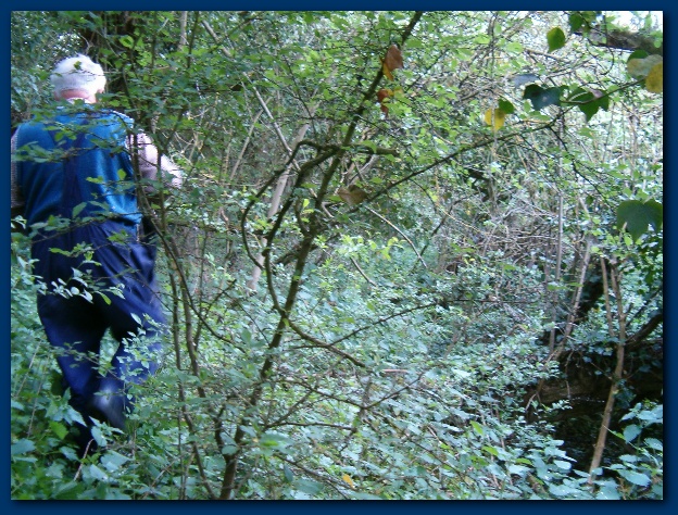 600x449 pixels (217K)