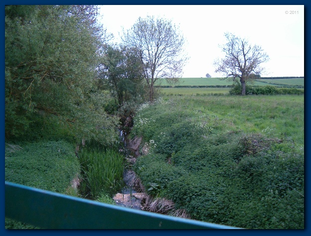 600x449 pixels (155K)