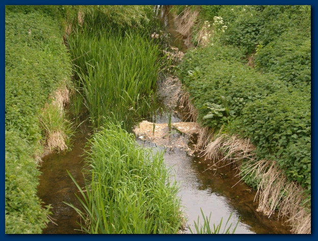 600x449 pixels (189K)