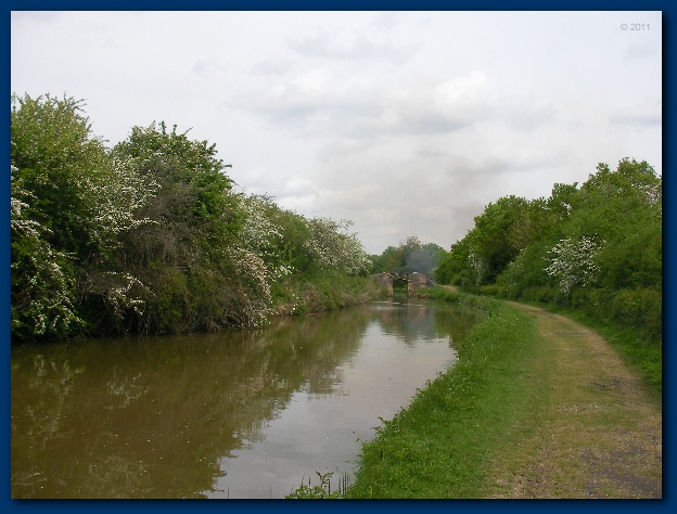 600x449 pixels (119K)