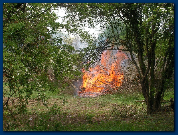 600x449 pixels (232K)