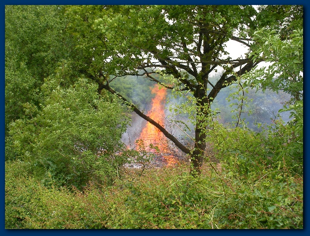 600x449 pixels (230K)