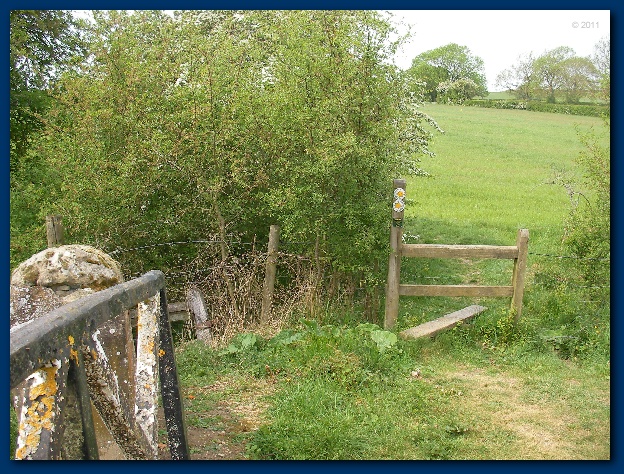 600x449 pixels (219K)