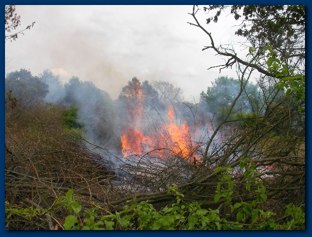 600x449 pixels (160K)