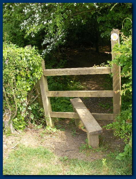 450x599 pixels (219K)