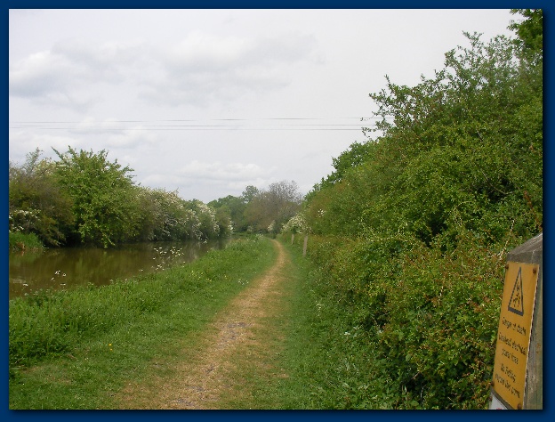 600x449 pixels (146K)