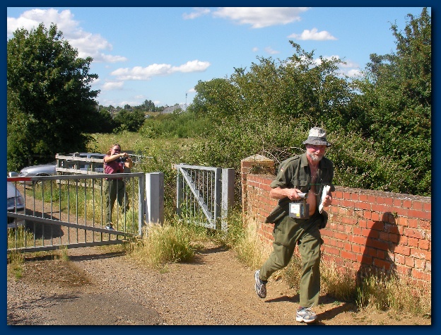 600x449 pixels (194K)