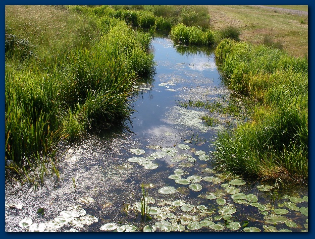 600x449 pixels (238K)