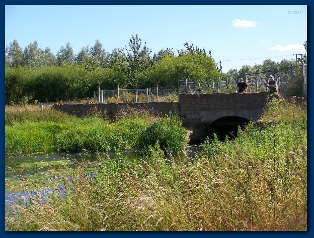 600x449 pixels (201K)