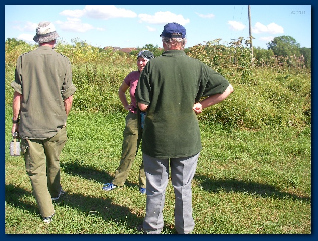 600x449 pixels (190K)