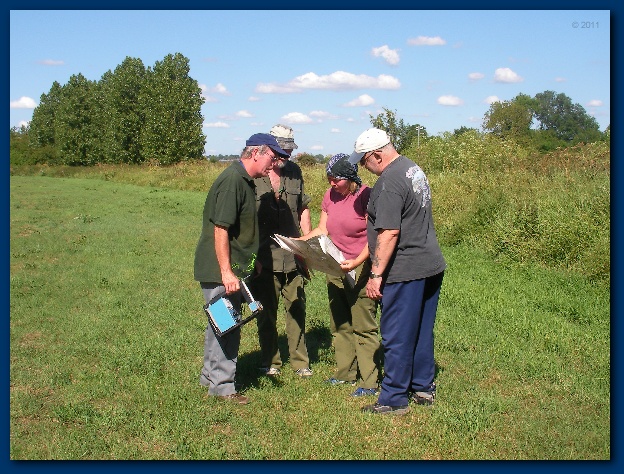 600x449 pixels (170K)