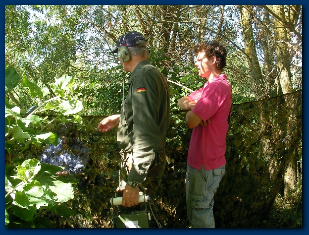 600x449 pixels (222K)