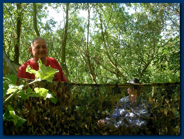 600x449 pixels (239K)