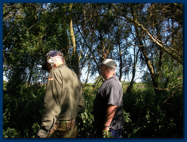 600x449 pixels (210K)