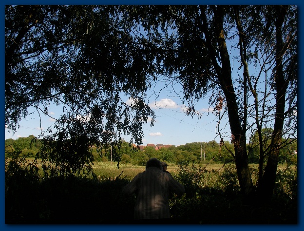 600x449 pixels (192K)