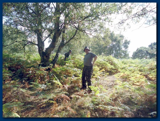 600x449 pixels (223K)