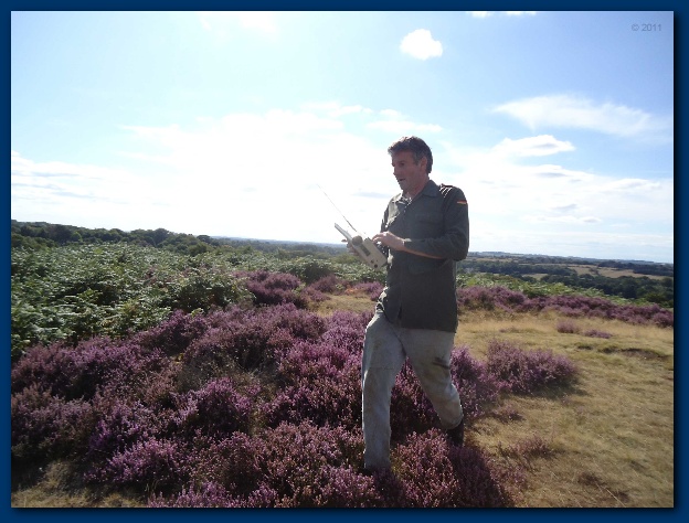 600x449 pixels (118K)