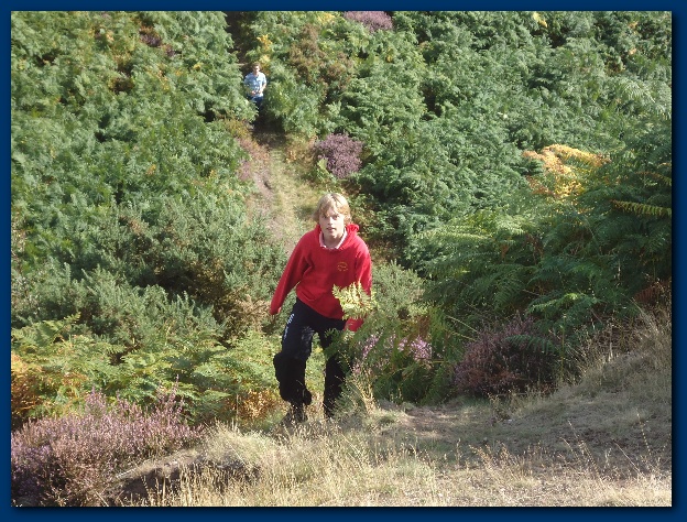 600x449 pixels (207K)