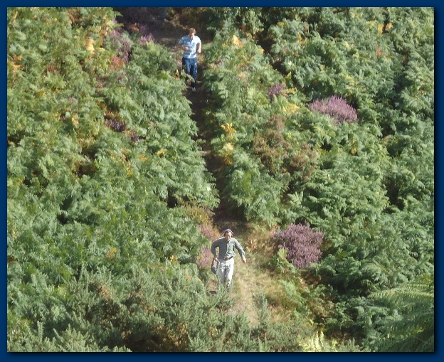 600x484 pixels (201K)