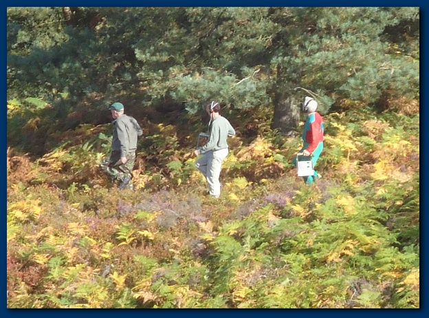 600x437 pixels (172K)