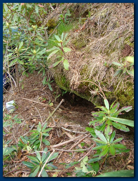 474x624 pixels (239K)