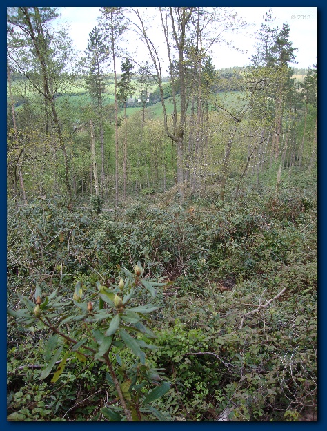 474x624 pixels (215K)