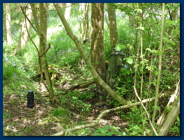 624x474 pixels (239K)