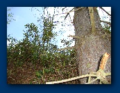 Uphill from Tx, following the aerial