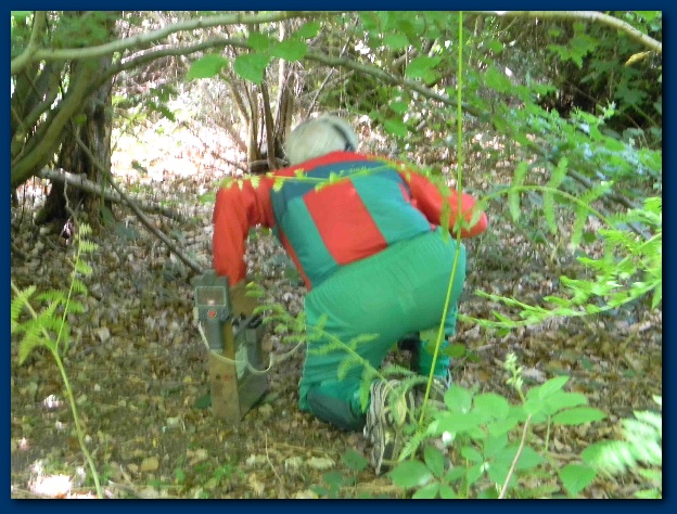 624x474 pixels (163K)