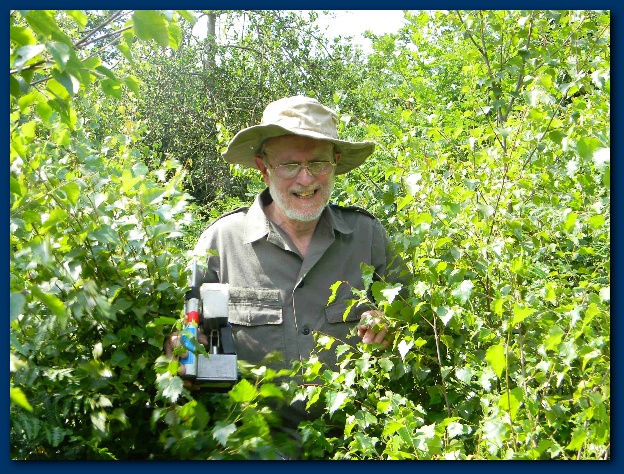 624x474 pixels (233K)