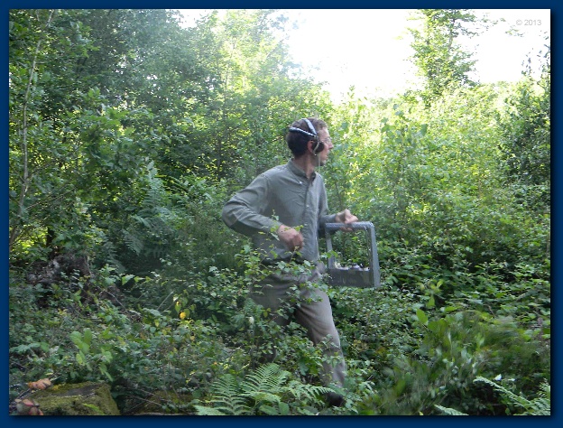 624x474 pixels (195K)