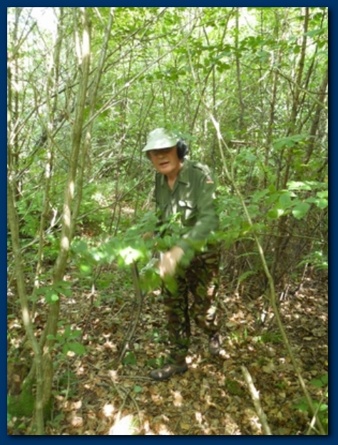 474x624 pixels (153K)