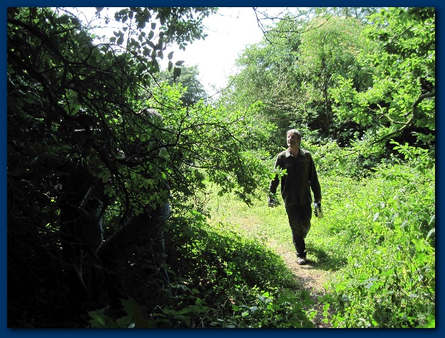 624x474 pixels (208K)