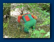                                                                                                                             