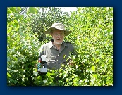                                                                                                                             