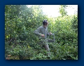                                                                                                                             