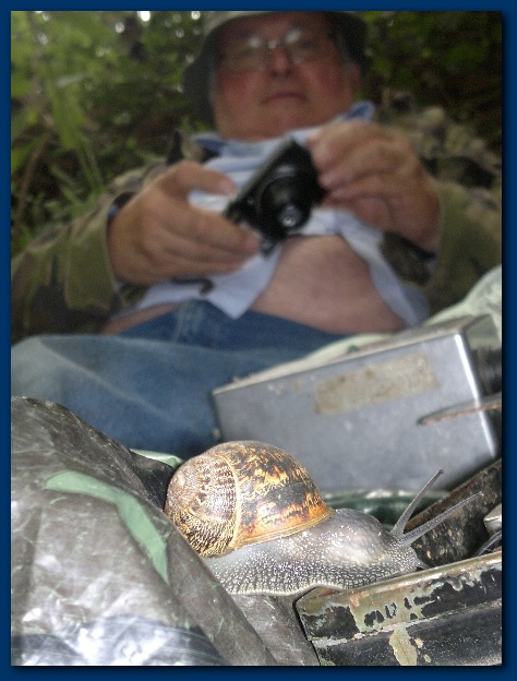 474x624 pixels (119K)