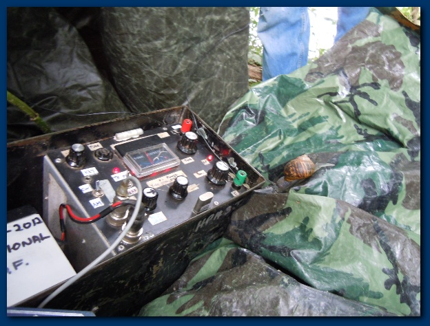 624x474 pixels (136K)